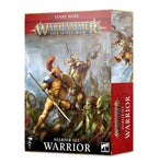 Warhammer: Age of Sigmar - Warrior - Starter Set